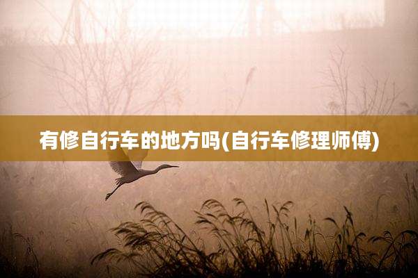 有修自行车的地方吗(自行车修理师傅)