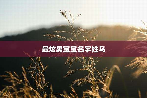 最炫男宝宝名字姓乌