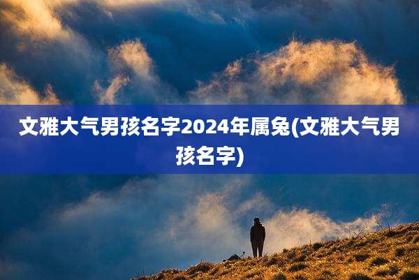文雅大气男孩名字2024年属兔(文雅大气男孩名字)