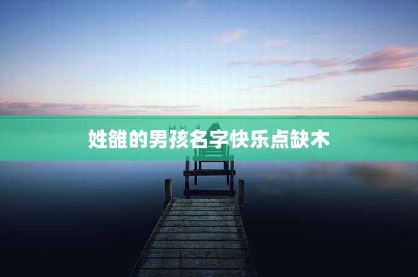 姓雒的男孩名字快乐点缺木