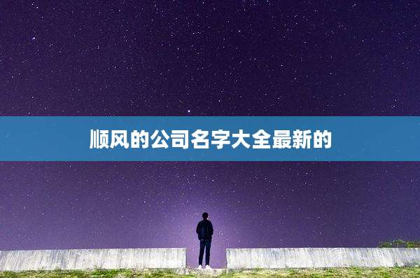 顺风的公司名字大全最新的