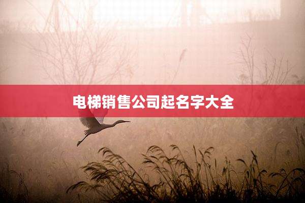 电梯销售公司起名字大全