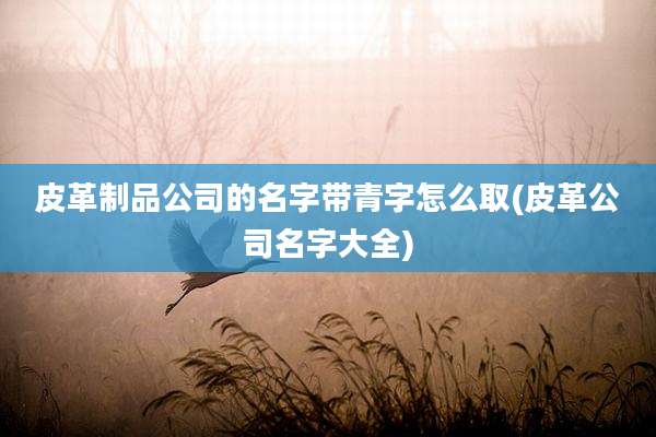 皮革制品公司的名字带青字怎么取(皮革公司名字大全)
