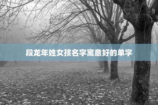 段龙年姓女孩名字寓意好的单字