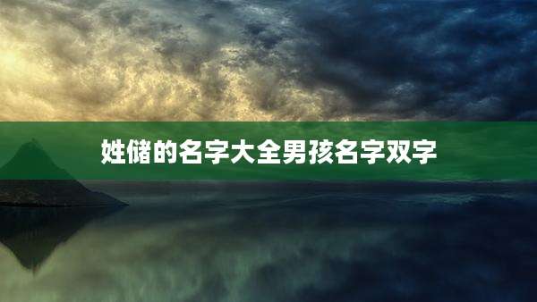 姓储的名字大全男孩名字双字