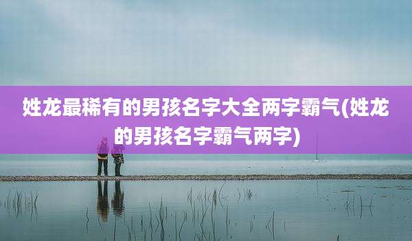 姓龙最稀有的男孩名字大全两字霸气(姓龙的男孩名字霸气两字)
