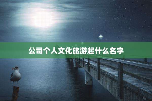 公司个人文化旅游起什么名字