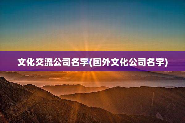 文化交流公司名字(国外文化公司名字)