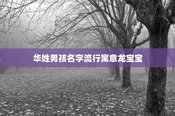 华姓男孩名字流行寓意龙宝宝