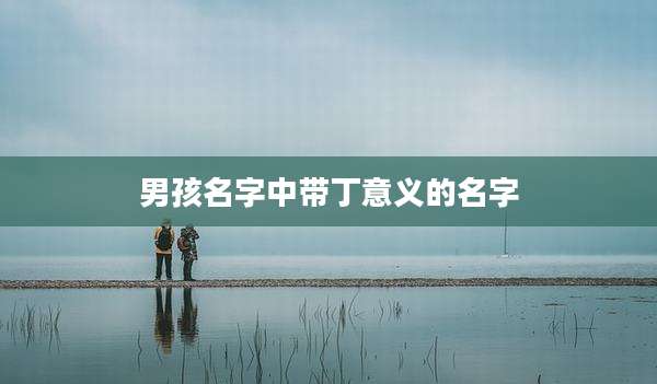 男孩名字中带丁意义的名字