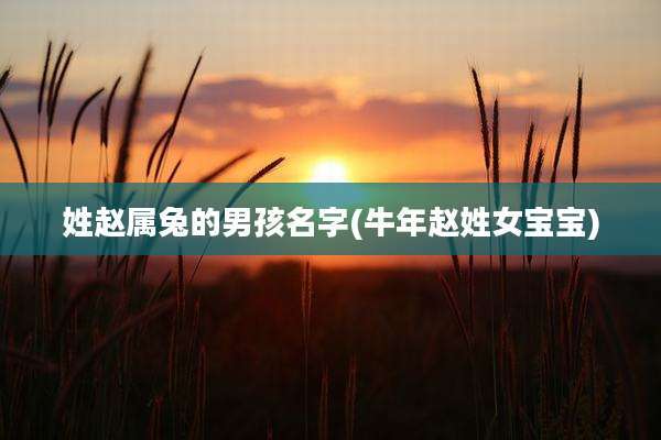 姓赵属兔的男孩名字(牛年赵姓女宝宝)