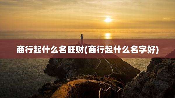 商行起什么名旺财(商行起什么名字好)