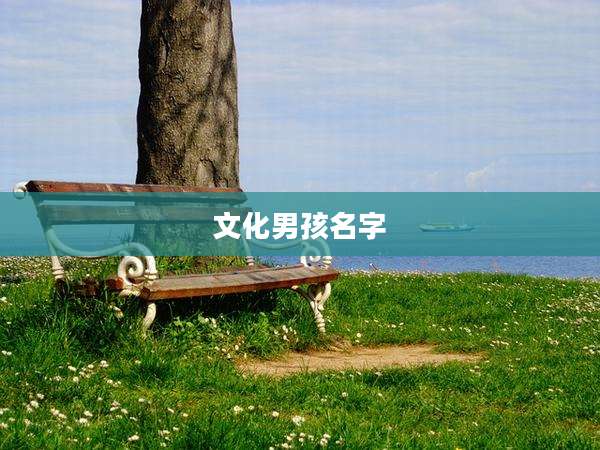 文化男孩名字