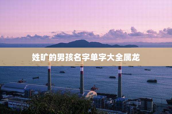 姓旷的男孩名字单字大全属龙