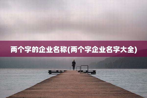 两个字的企业名称(两个字企业名字大全)