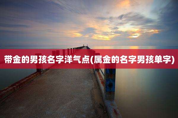 带金的男孩名字洋气点(属金的名字男孩单字)