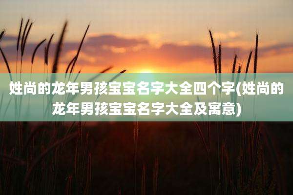 姓尚的龙年男孩宝宝名字大全四个字(姓尚的龙年男孩宝宝名字大全及寓意)
