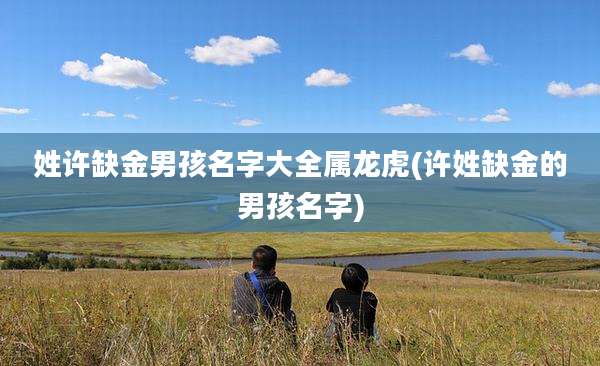 姓许缺金男孩名字大全属龙虎(许姓缺金的男孩名字)