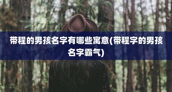 带程的男孩名字有哪些寓意(带程字的男孩名字霸气)