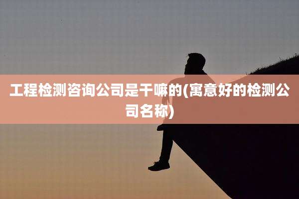 工程检测咨询公司是干嘛的(寓意好的检测公司名称)