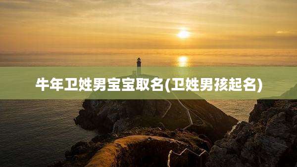 牛年卫姓男宝宝取名(卫姓男孩起名)