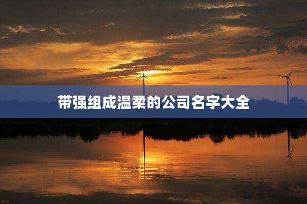 带强组成温柔的公司名字大全