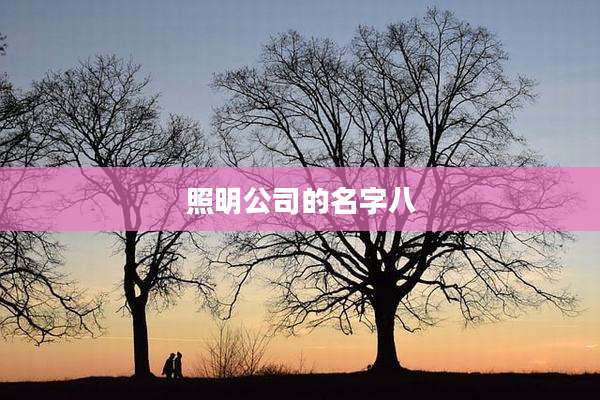 照明公司的名字八