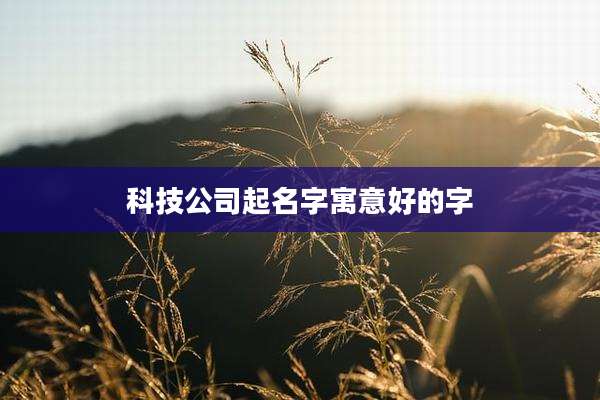 科技公司起名字寓意好的字