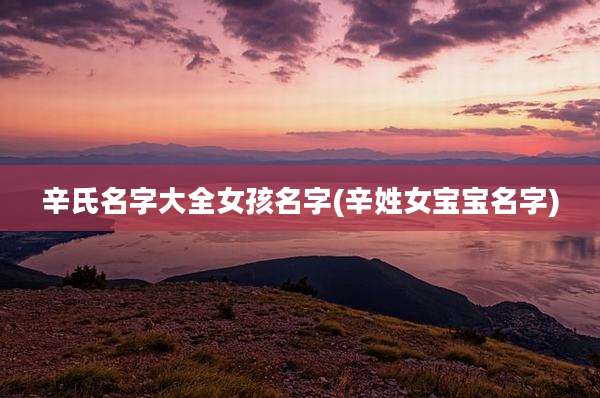 辛氏名字大全女孩名字(辛姓女宝宝名字)