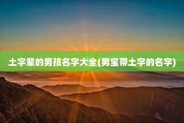 土字辈的男孩名字大全(男宝带土字的名字)