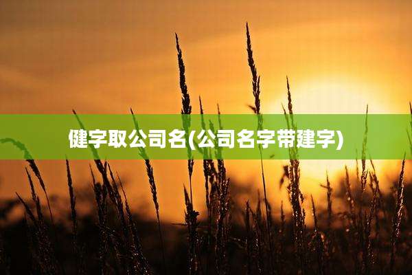 健字取公司名(公司名字带建字)