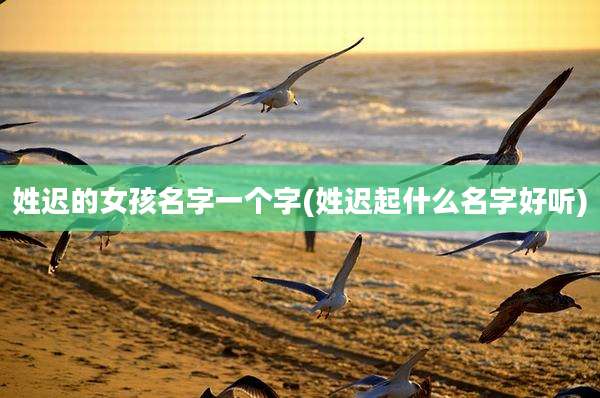 姓迟的女孩名字一个字(姓迟起什么名字好听)