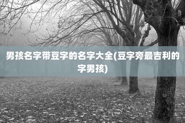 男孩名字带豆字的名字大全(豆字旁最吉利的字男孩)