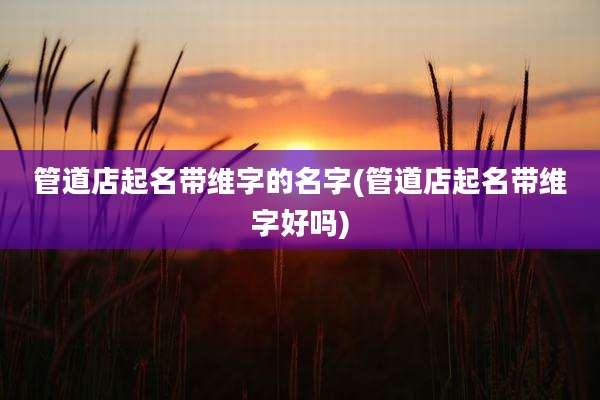 管道店起名带维字的名字(管道店起名带维字好吗)