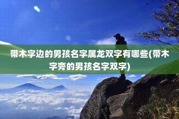 带木字边的男孩名字属龙双字有哪些(带木字旁的男孩名字双字)