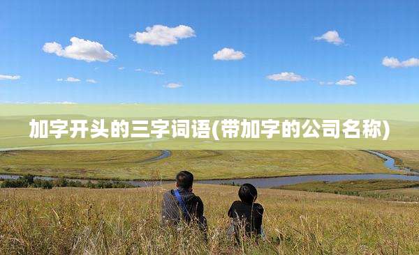 加字开头的三字词语(带加字的公司名称)