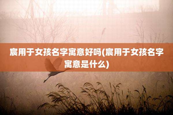 宸用于女孩名字寓意好吗(宸用于女孩名字寓意是什么)