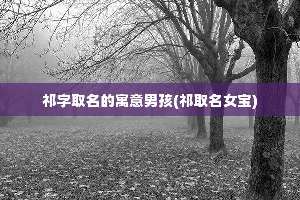 祁字取名的寓意男孩(祁取名女宝)