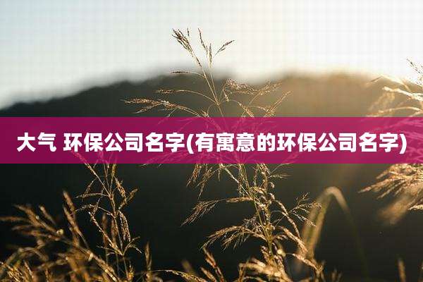 大气 环保公司名字(有寓意的环保公司名字)