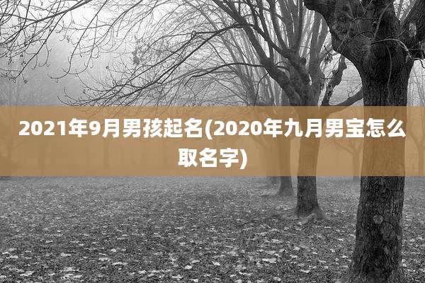 2021年9月男孩起名(2020年九月男宝怎么取名字)