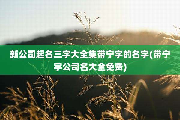 新公司起名三字大全集带宁字的名字(带宁字公司名大全免费)