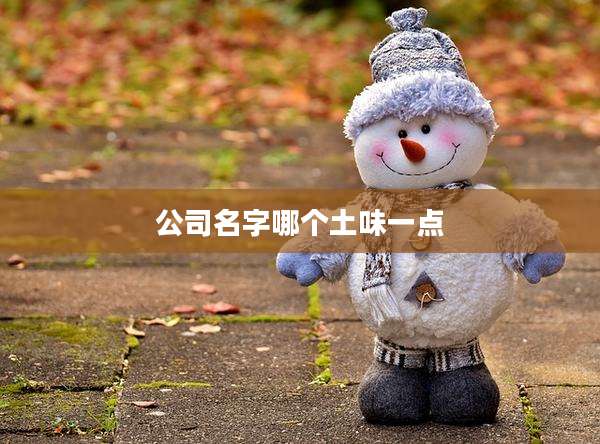 公司名字哪个土味一点