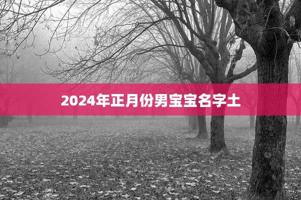 2024年正月份男宝宝名字土