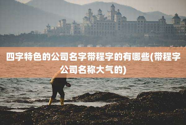 四字特色的公司名字带程字的有哪些(带程字公司名称大气的)