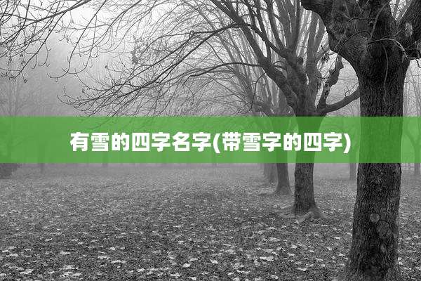 有雪的四字名字(带雪字的四字)