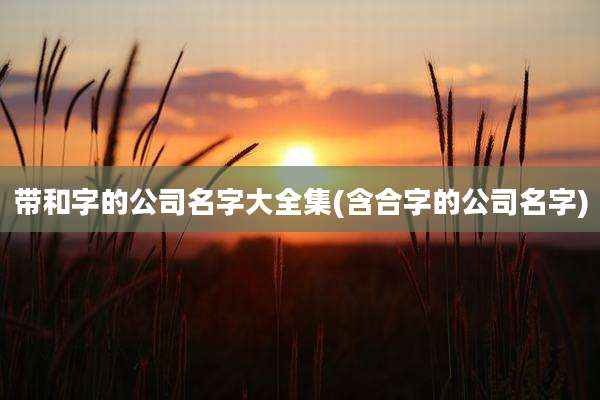 带和字的公司名字大全集(含合字的公司名字)