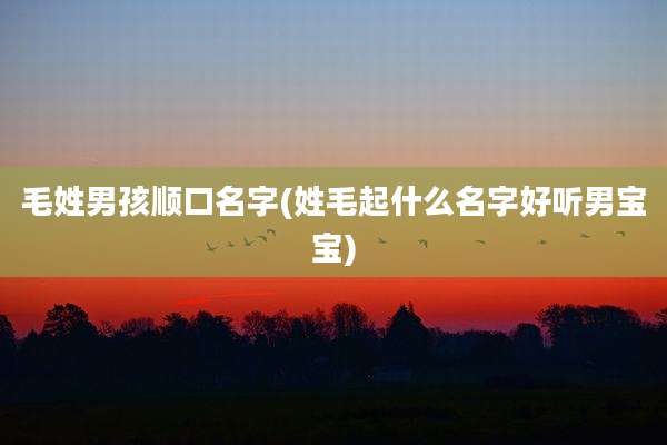 毛姓男孩顺口名字(姓毛起什么名字好听男宝宝)