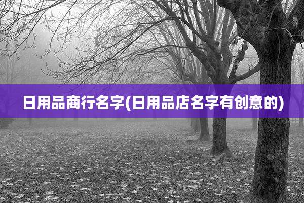 日用品商行名字(日用品店名字有创意的)
