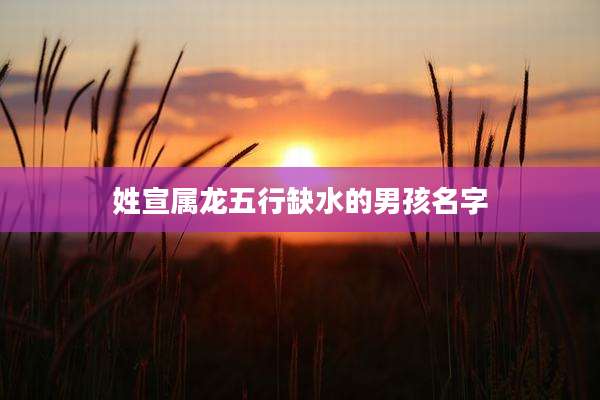 姓宣属龙五行缺水的男孩名字