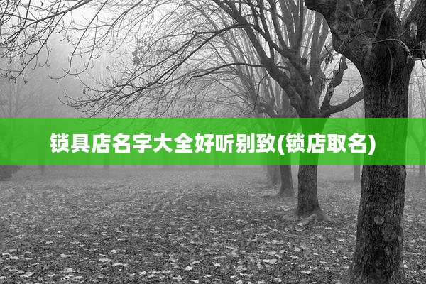 锁具店名字大全好听别致(锁店取名)